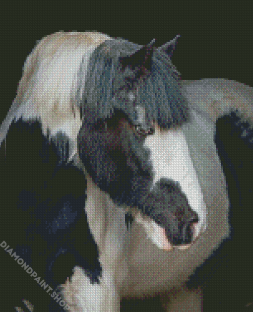 Cob Horses Diamond Paintings