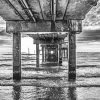 Monochrome Clearwater Beach Diamond Paintings