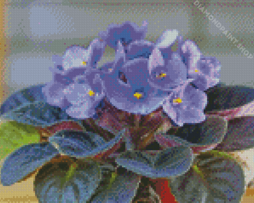 Blue African Violets Diamond Paintings