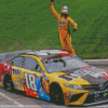 Car Racer Kyle Busch Diamond Paintings