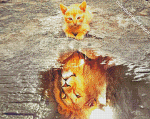 Cat Water Reflection Diamond By Paintings