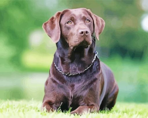 Chocolate Labrador Diamond By Paintings