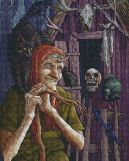 Crone And Cat Diamond Paintings