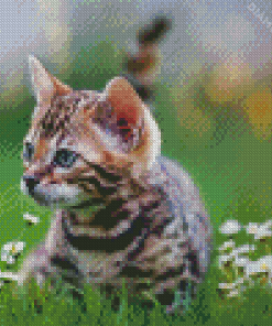 Cute Kitten Tiger Diamond Paintings