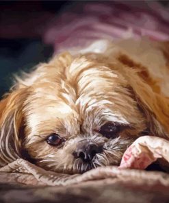 Cute Shihpoo Dog Diamond Paintings