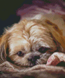 Cute Shihpoo Dog Diamond Paintings