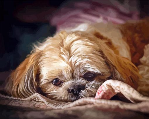 Cute Shihpoo Dog Diamond Paintings