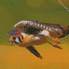 Flying Kestrel Bird Diamond Paintings