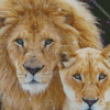 Lion And Lioness Diamond Paintings