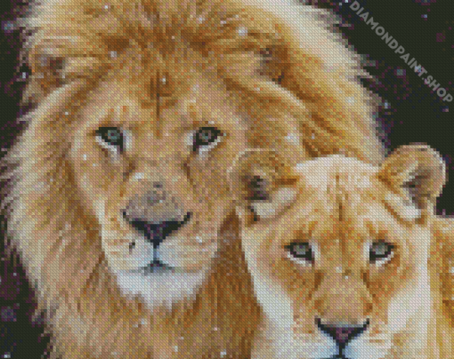 Lion And Lioness Diamond Paintings