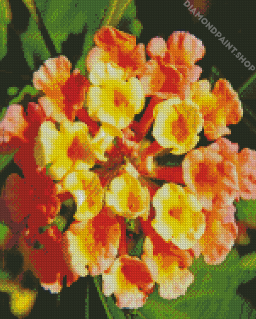 Orangle Lantanas Flowers Diamond Paintings