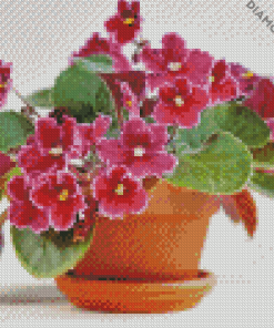 African Violets Roses Diamond Paintings