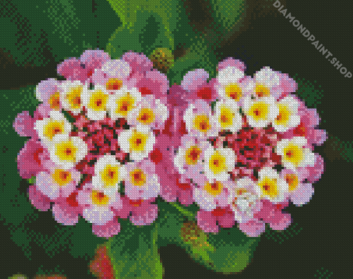 Pink Lantanas Flowers Diamond Paintings