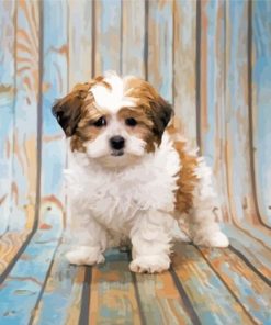 Cute Shihpoo Puppy Diamond Paintings