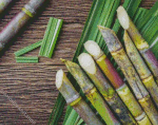 Sugarcane Plant Diamond Paintings