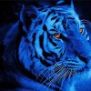 Tiger With Brilliant Eyes Diamond Paintings