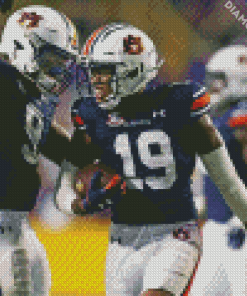 Auburn Tiger Footballers Diamond Paintings