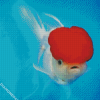 White Cap Fish Diamond Paintings