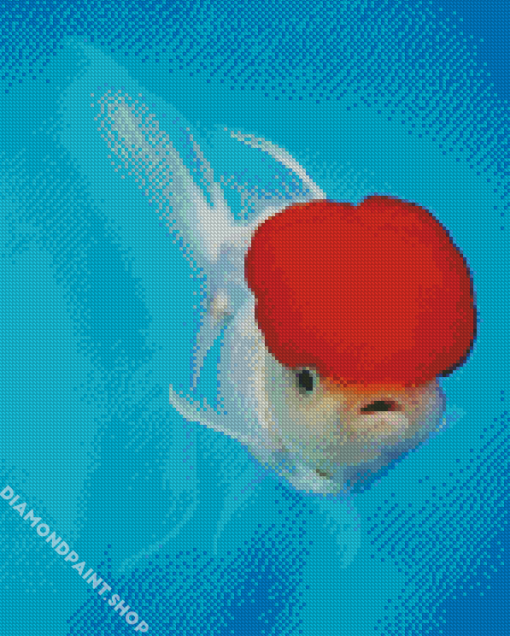 White Cap Fish Diamond Paintings