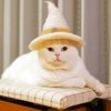 Wizard Cat With Hat Diamond Painting