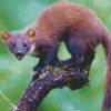 Wild Marten Diamond Paintings