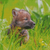 Adorable Wolf Cub Diamond Paintings