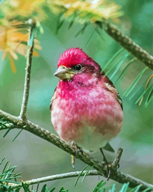 Adorable Purple Finch Diamond Paintings