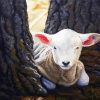 Aesthetic Little Lamb Art Diamond Painting