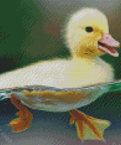 Baby Duck Birds In Water Diamond Paintings