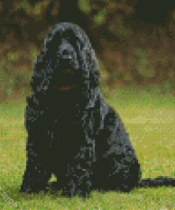 Black Cocker Spaniel Dog Diamond Paintings