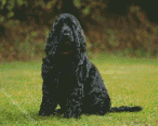 Black Cocker Spaniel Dog Diamond Paintings