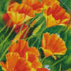 California Poppies Art Diamond Paintings