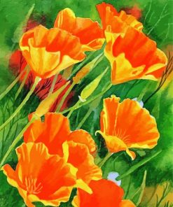 California Poppies Art Diamond Paintings