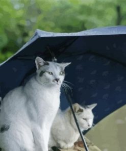 Cats Under Umbrella Diamond Painting