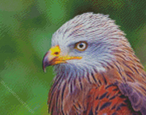 Close Up Red Kite Diamond Paintings