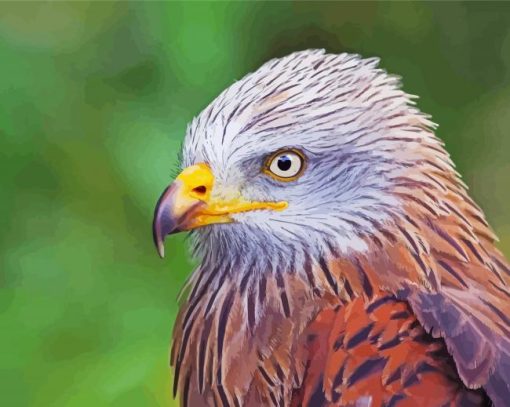 Close Up Red Kite Diamond Paintings