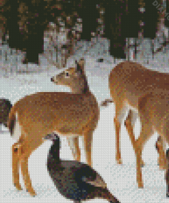 Deer And Turkeys In Snow Diamond Paintings