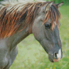 Indian Pony Horse Diamond Paintings