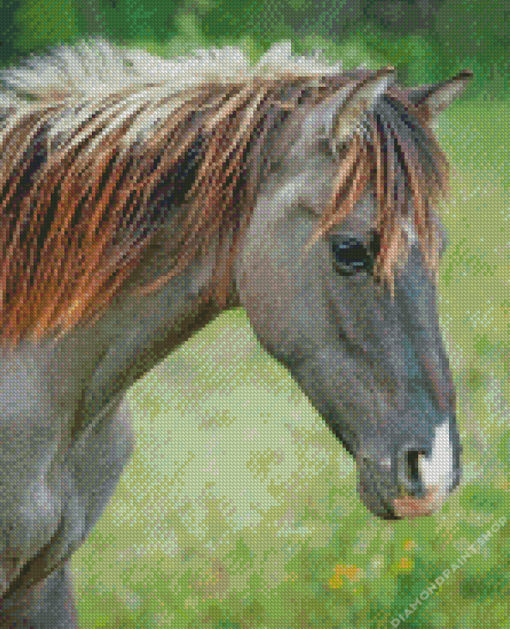 Indian Pony Horse Diamond Paintings