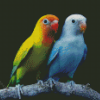 Wonderful Lovebirds Diamond Paintings