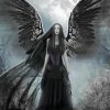 Moonlight Black Angel Diamond Paintings