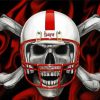 Nebraska Hsukers Blackshirts Skull Diamond Paintings