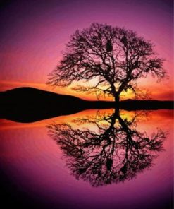 Tree Reflection Silhouette Diamond Paintings