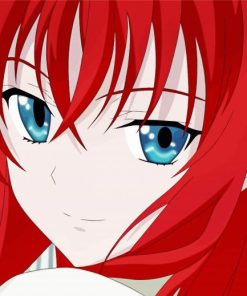 Rias Gremory Character Diamond Paintings