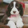 Springer Spaniel Diamond Paintings