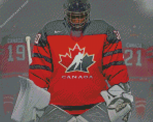 Team Canada Ice Hockey Diamond Paintings