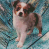 Toy Aussie Animal Dog Diamond Paintings