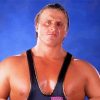 WWE Owen Hart Diamond Paintings