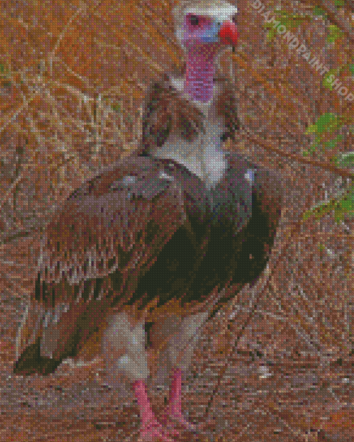 Aesthetic Bearded Vulture Diamond Paintings