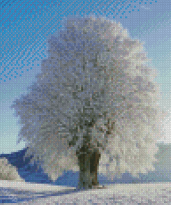 White Tree Diamond Paintings